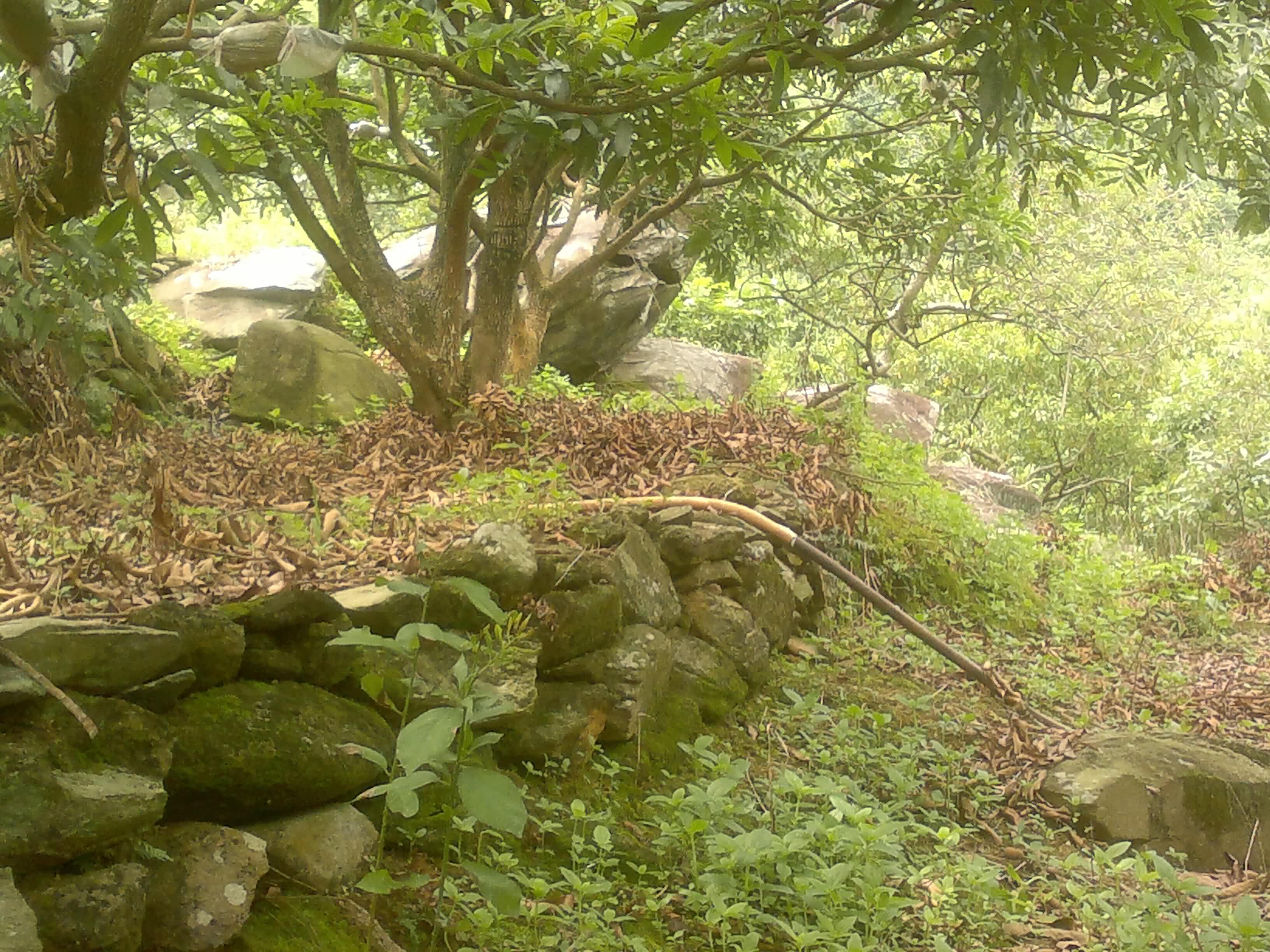 20110906086.jpg