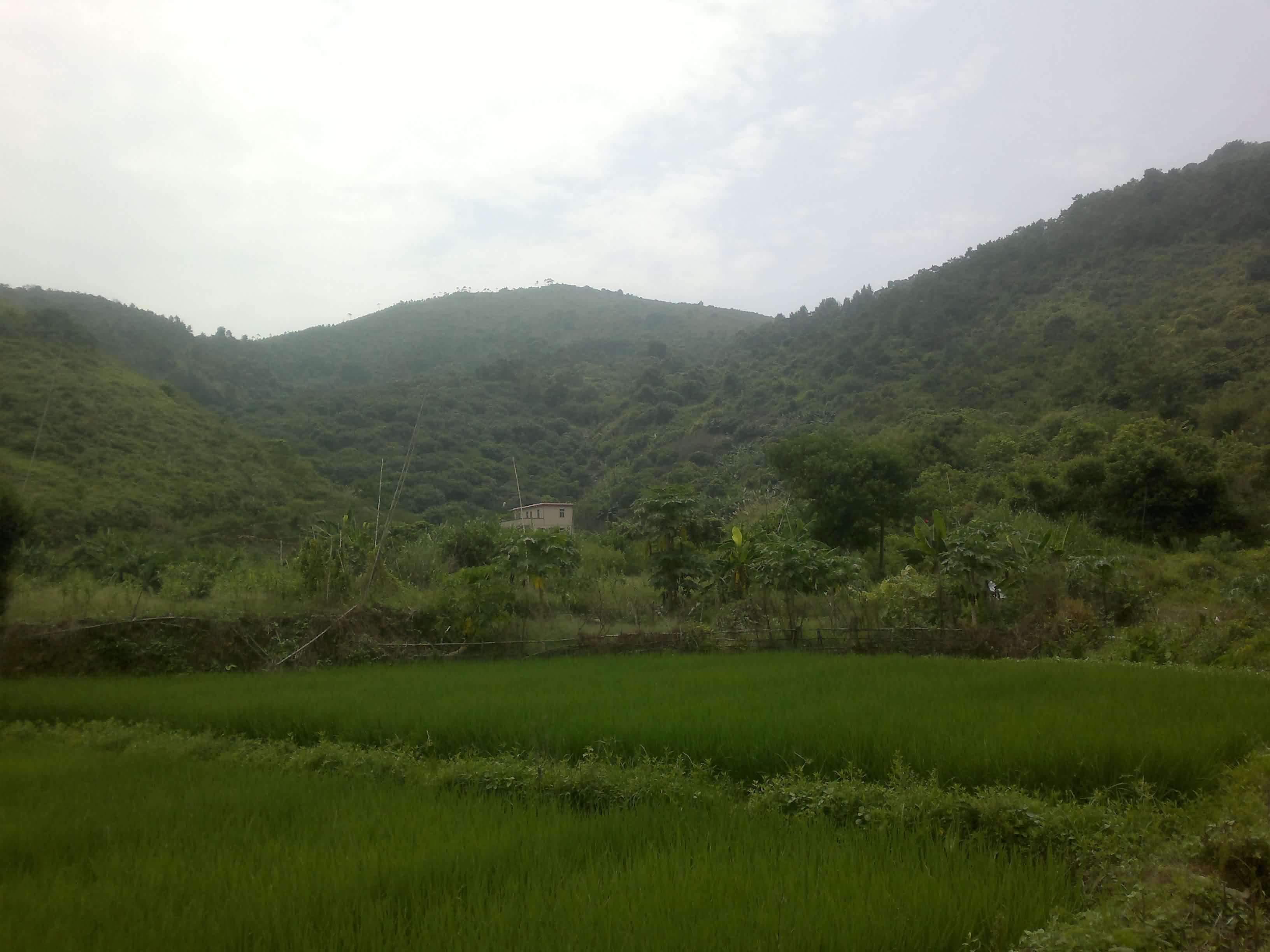 20110906093.jpg