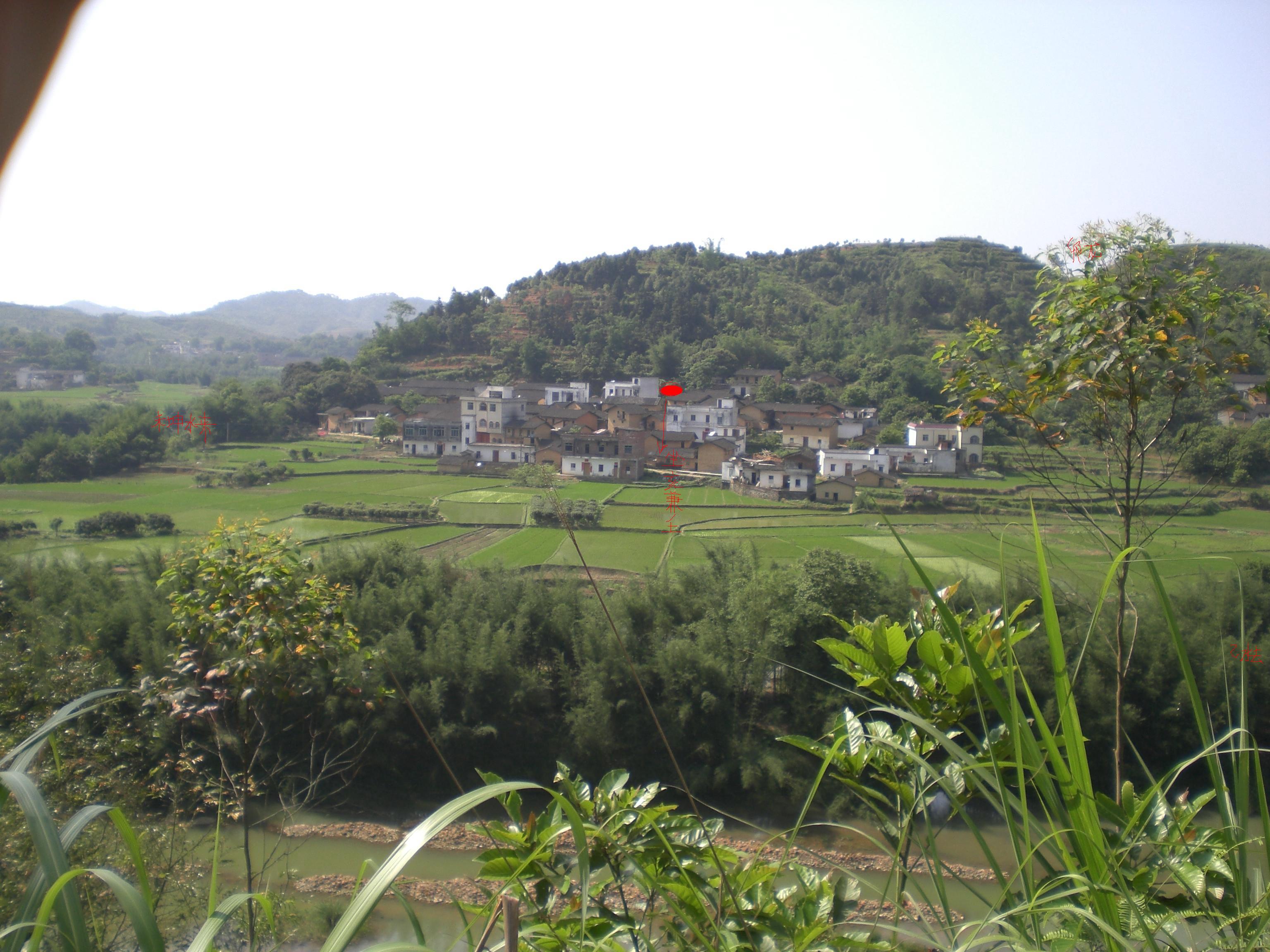CIMG1551_new.JPG