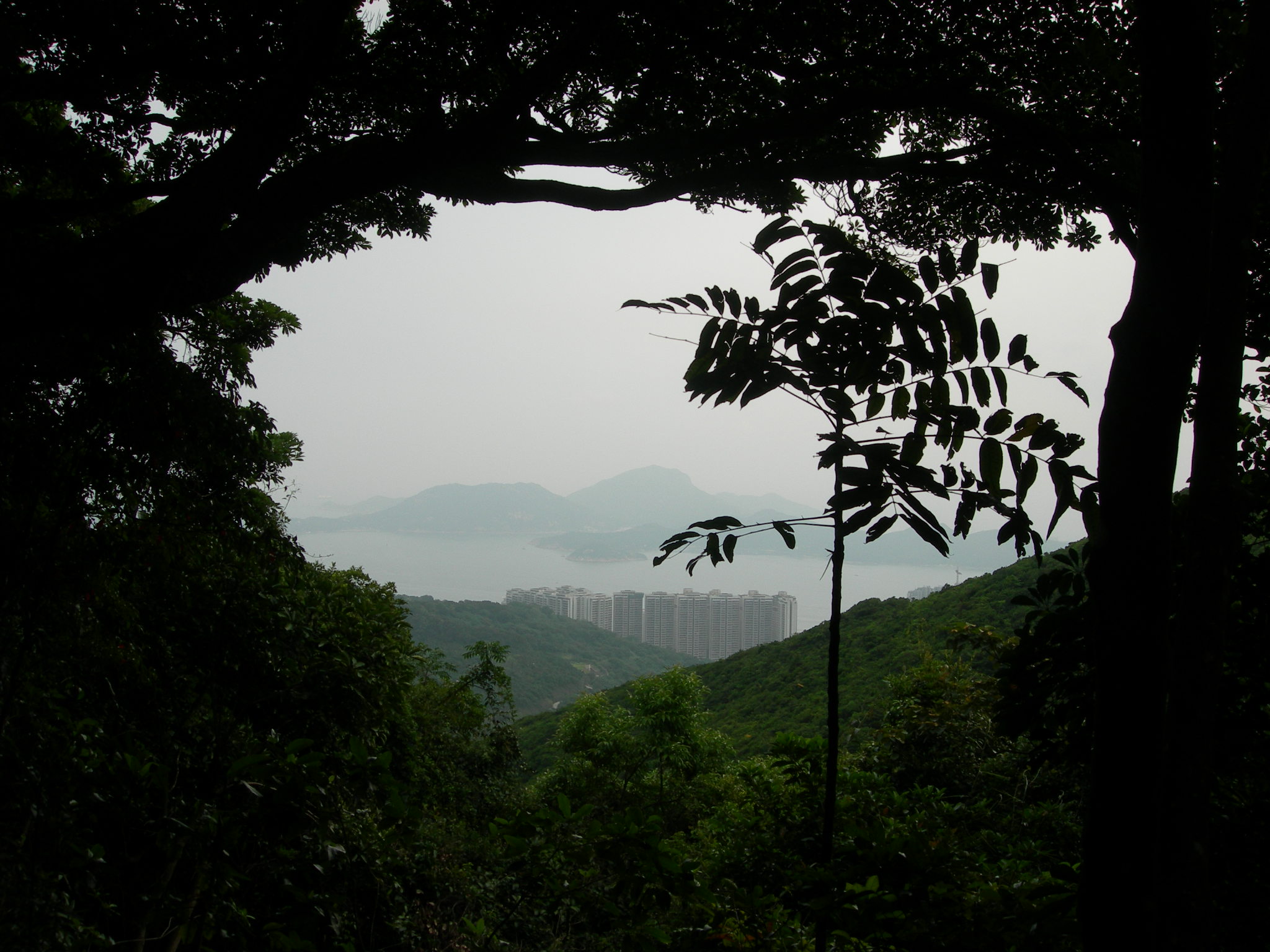 DSCN1390.JPG