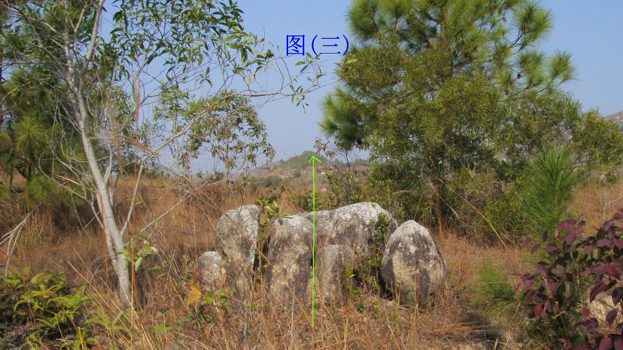 图(三).JPG