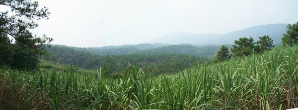 1-8虎边拍右护.jpg