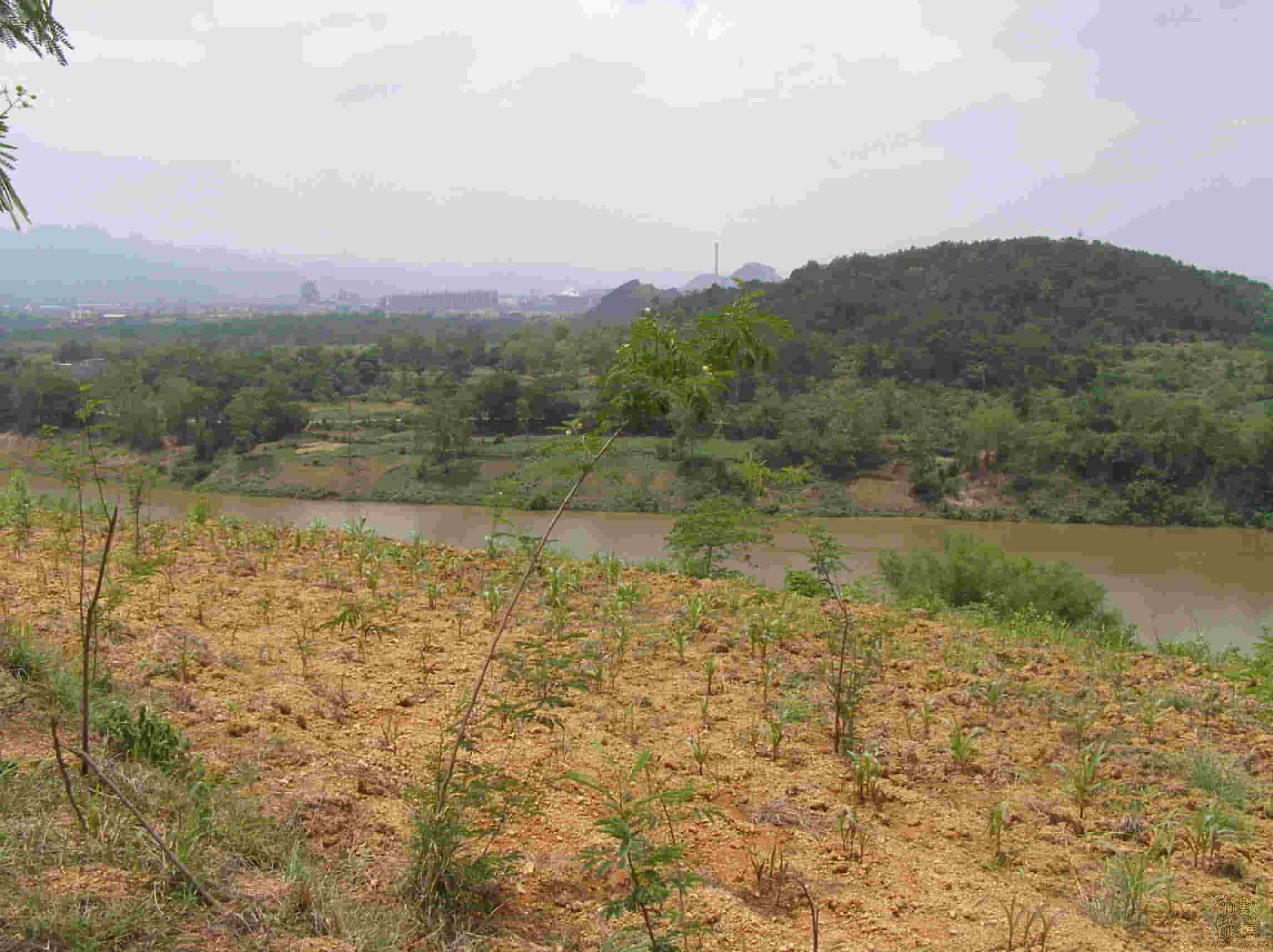 P5030012.jpg