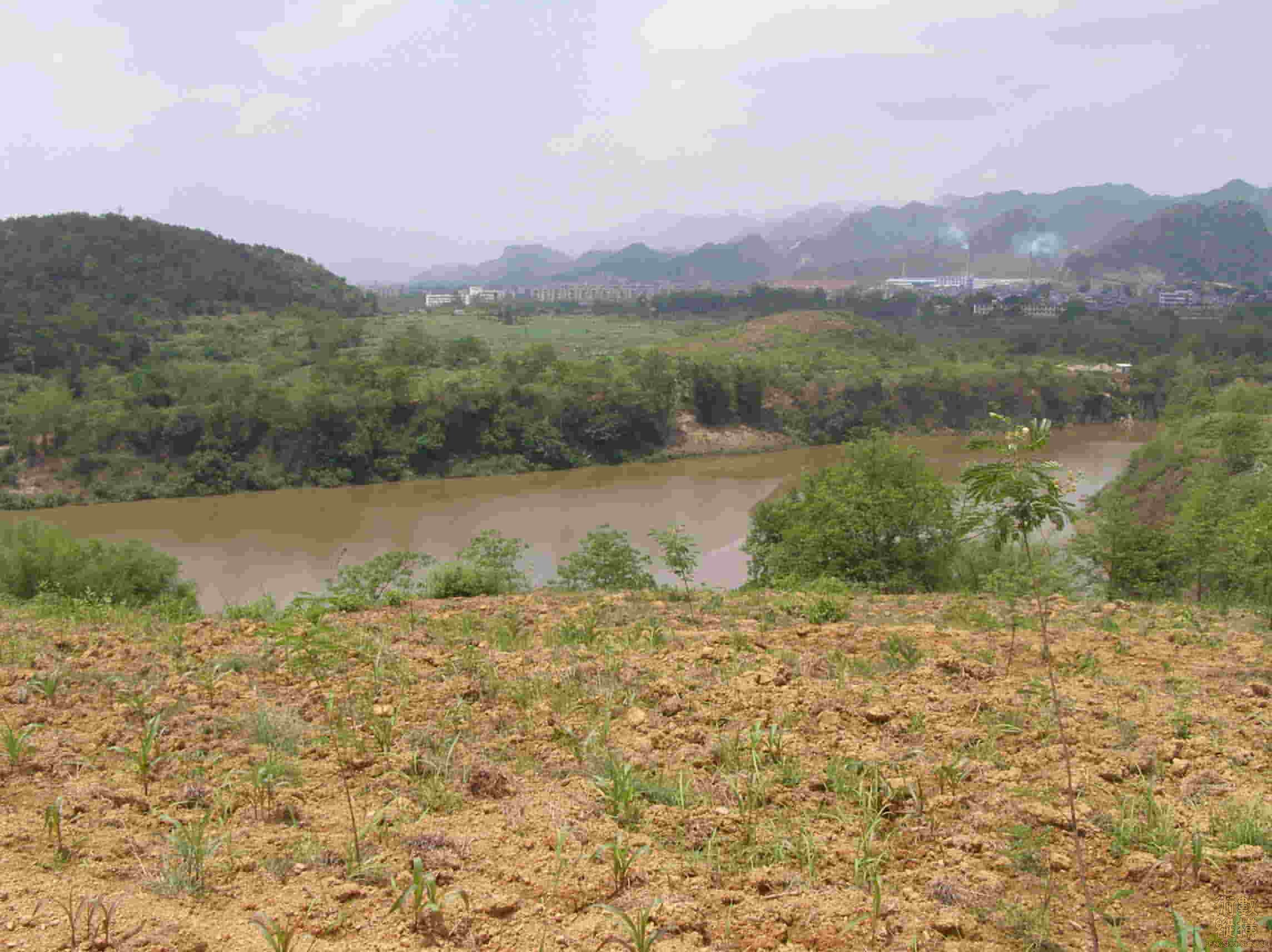 P5030013.jpg