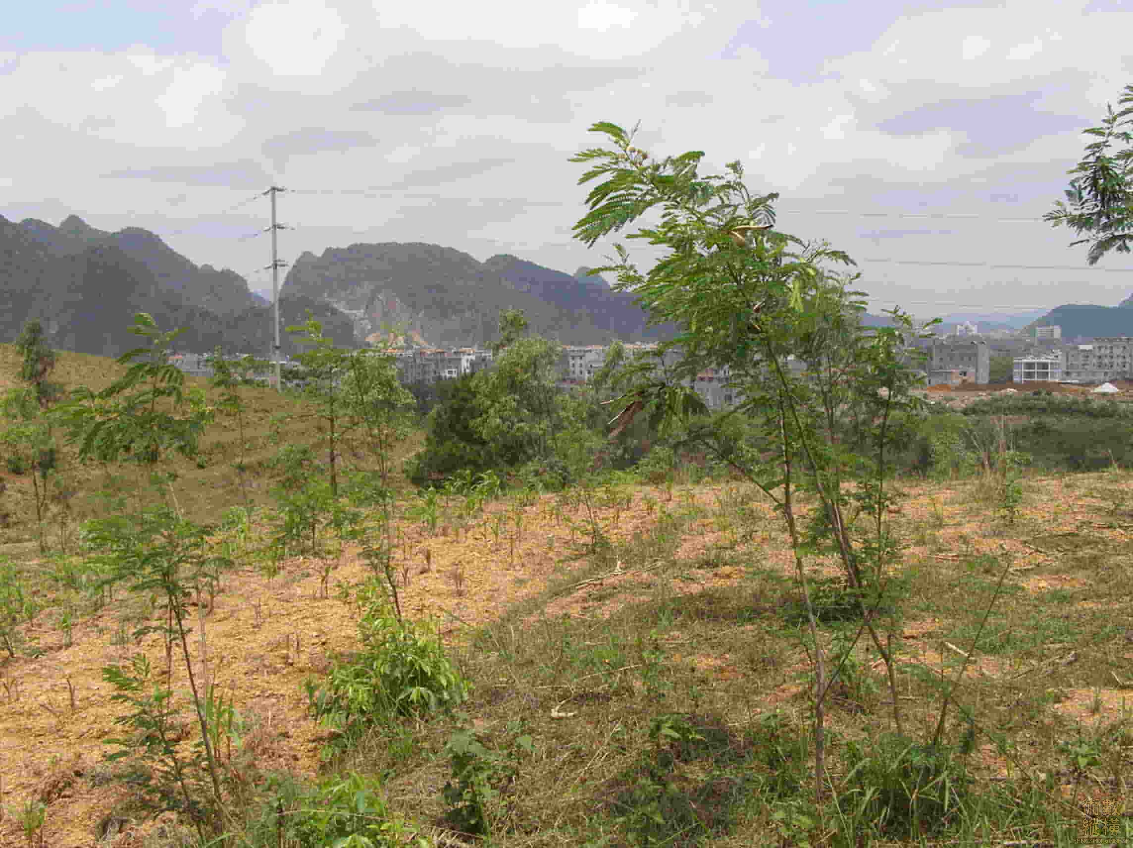 P5030016.jpg