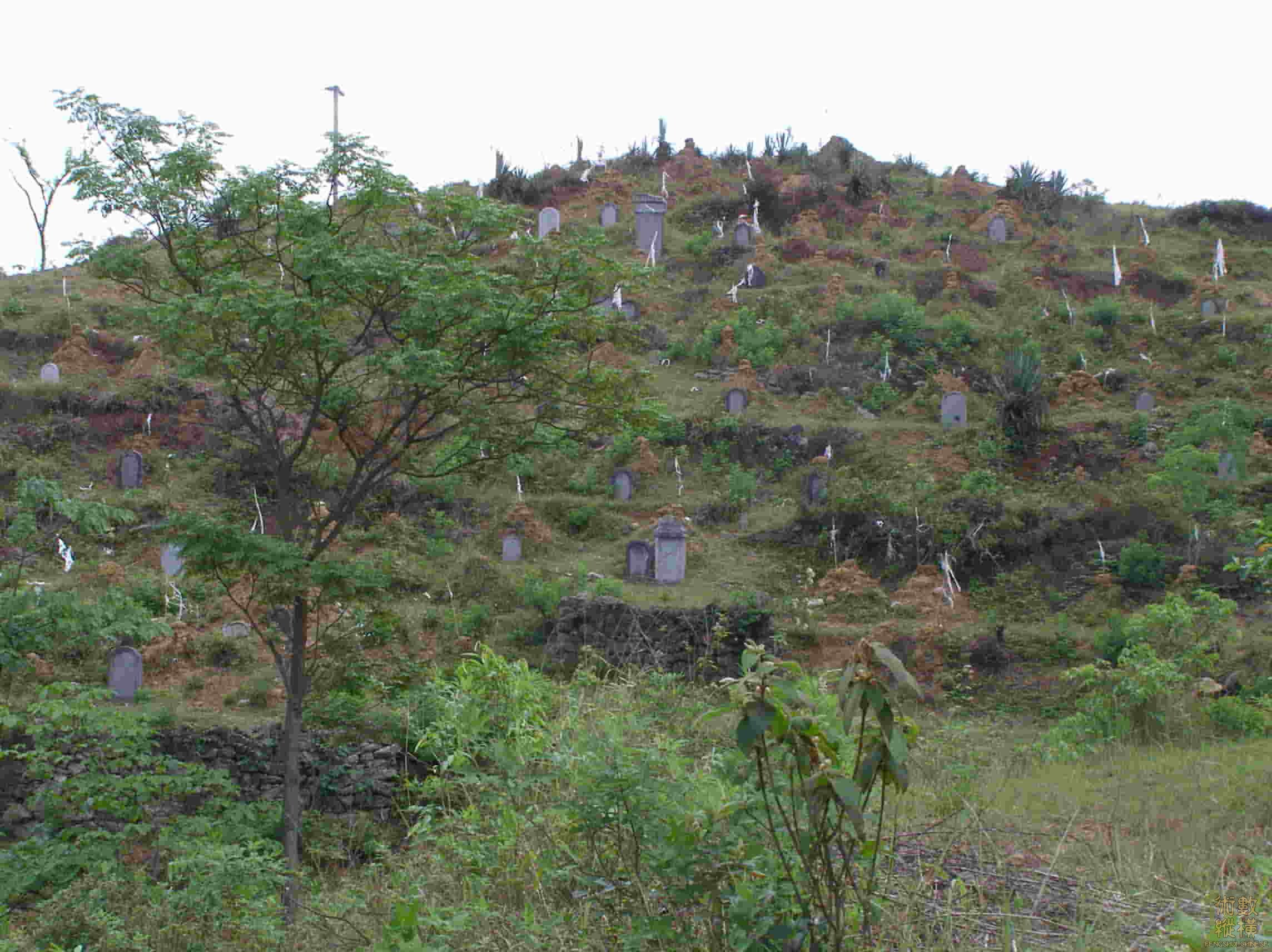 P5030026.jpg