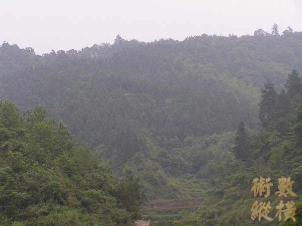 P6110144.JPG