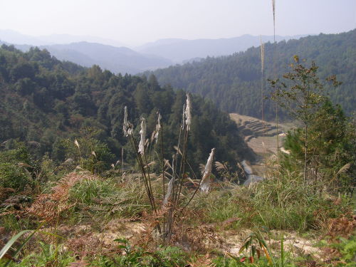 PB110187.JPG