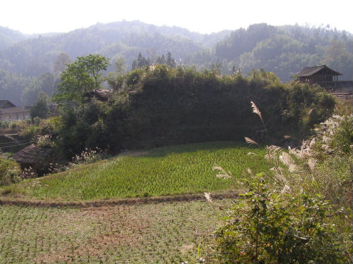 PB110212.JPG