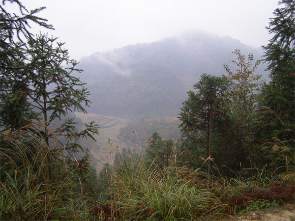 PC010312.jpg