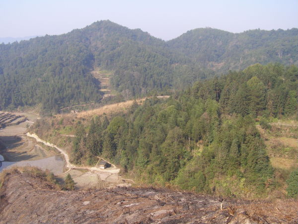 PC230006.JPG