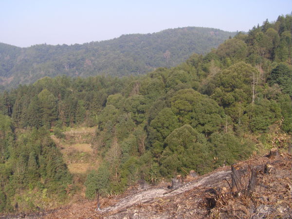 PC230007.JPG
