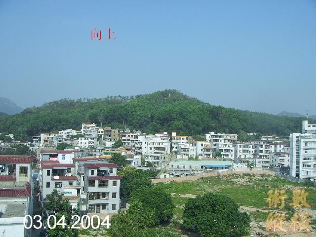 PICT2957.JPG