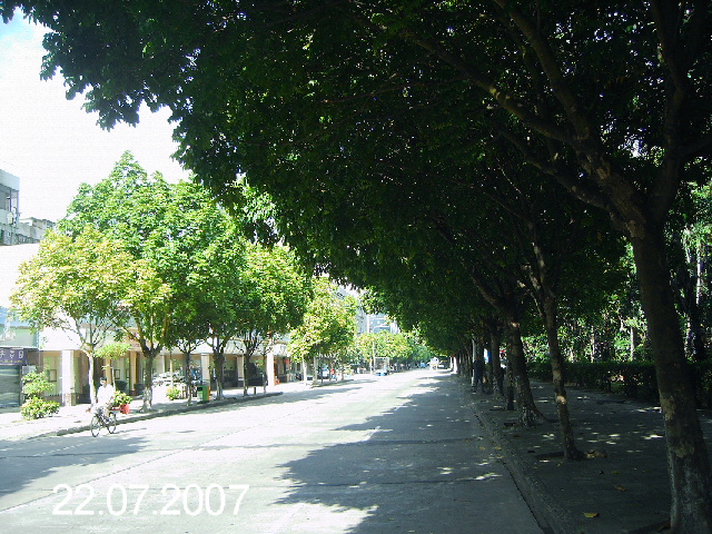 PICT4115.JPG