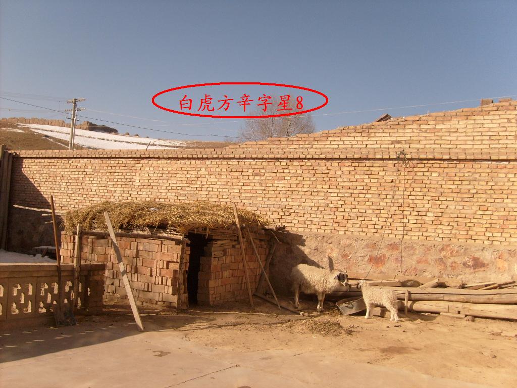 S6303425.JPG