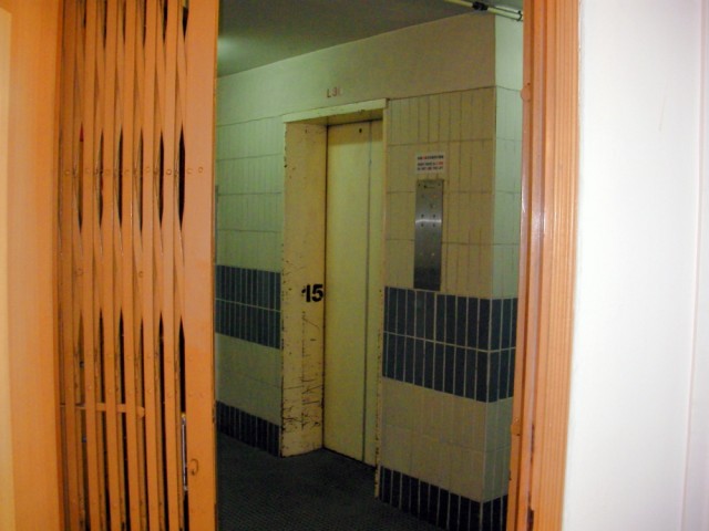 SANY0031.jpg