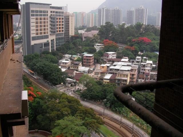 SANY0034.jpg
