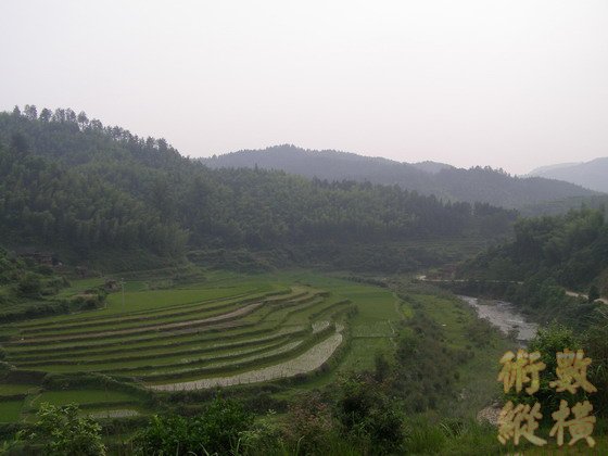 大明堂.JPG