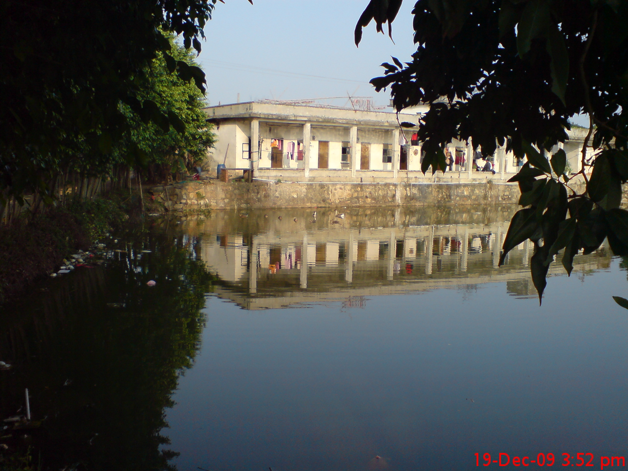 大朗松湖公園.JPG