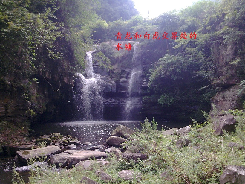 水塘.jpg