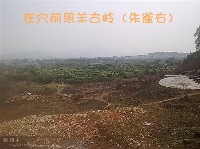朱雀右边.jpg