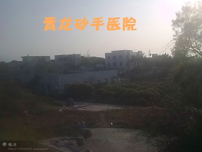 青龙砂手.jpg