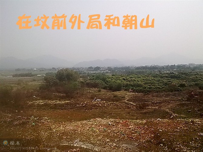 前朝.jpg