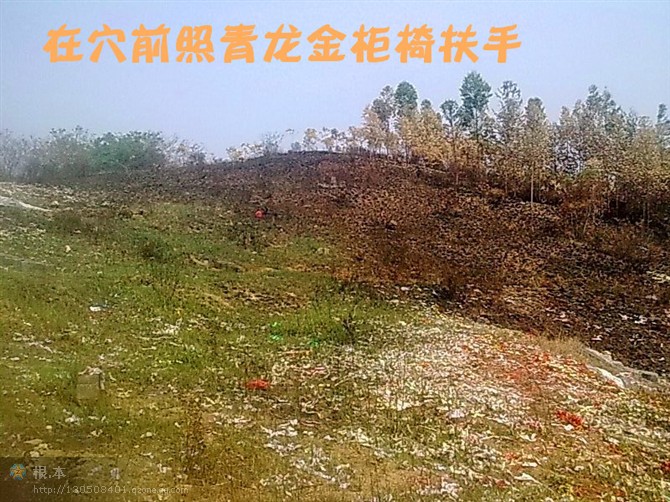 金柜椅地进金..jpg