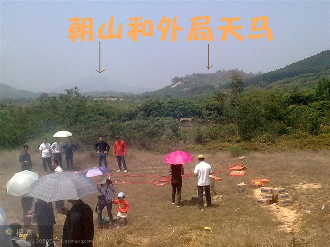 新安公墓天马.jpg