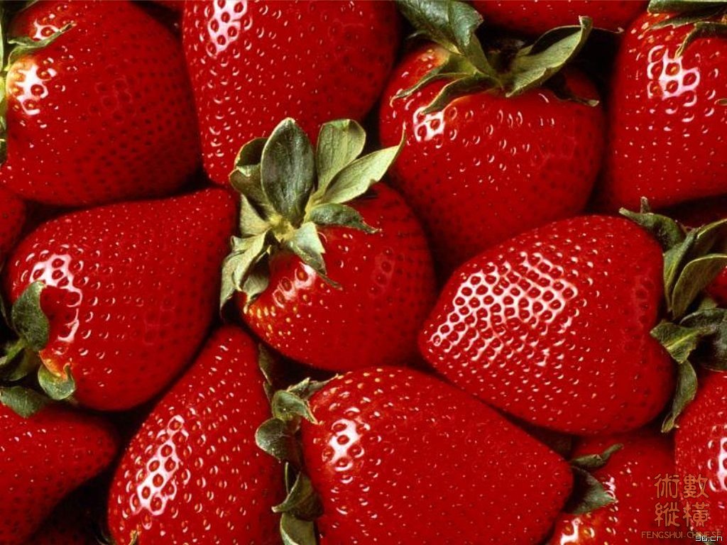 200508280248133571.jpg