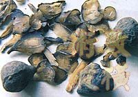 Know0024_21.jpg
