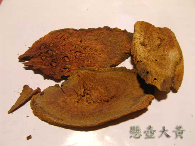 SANY0011拷貝.jpg