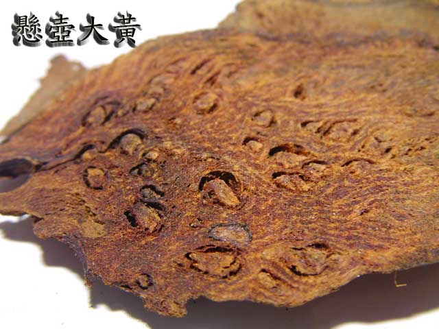 SANY0013拷貝.jpg