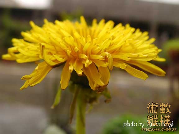SANY0146拷貝.jpg