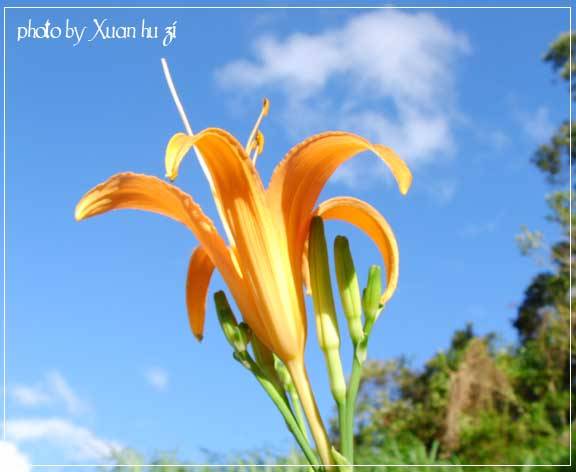SANY0167拷貝.jpg