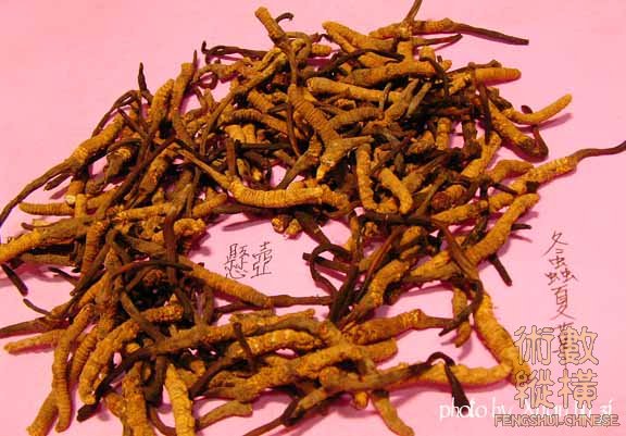 SANY0181拷貝.jpg