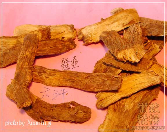 SANY0209拷貝.jpg