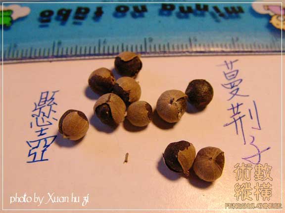 SANY0221拷貝.jpg