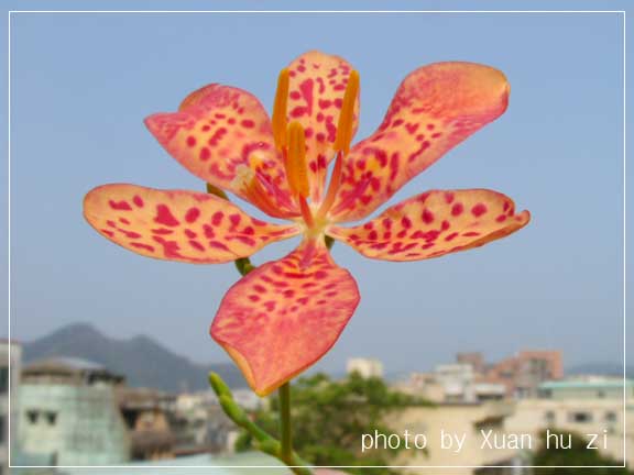 sany0148拷貝.jpg