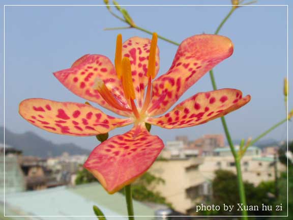 sany0149拷貝.jpg