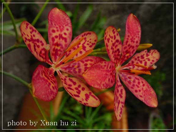 sany0174拷貝.jpg