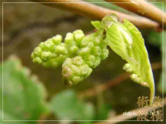 sany0191拷貝.jpg