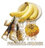 f02.jpg