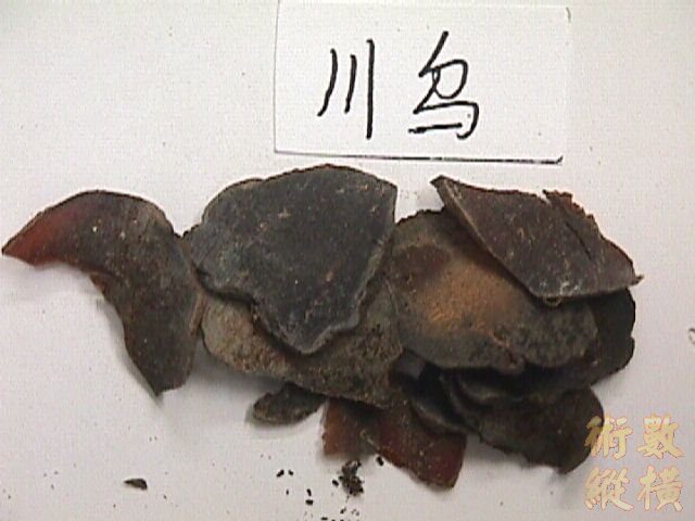 h2028p0.jpg