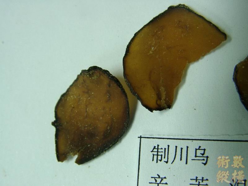 h2028p2.jpg