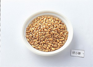 herb11.jpg