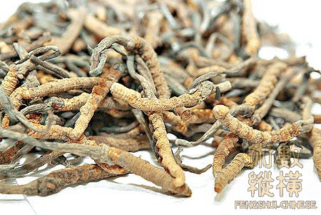 herb.jpg