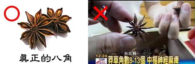 八角.JPG
