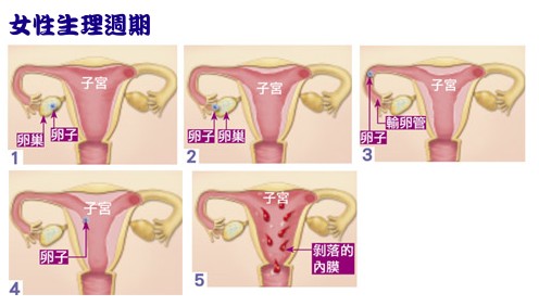 period.jpg