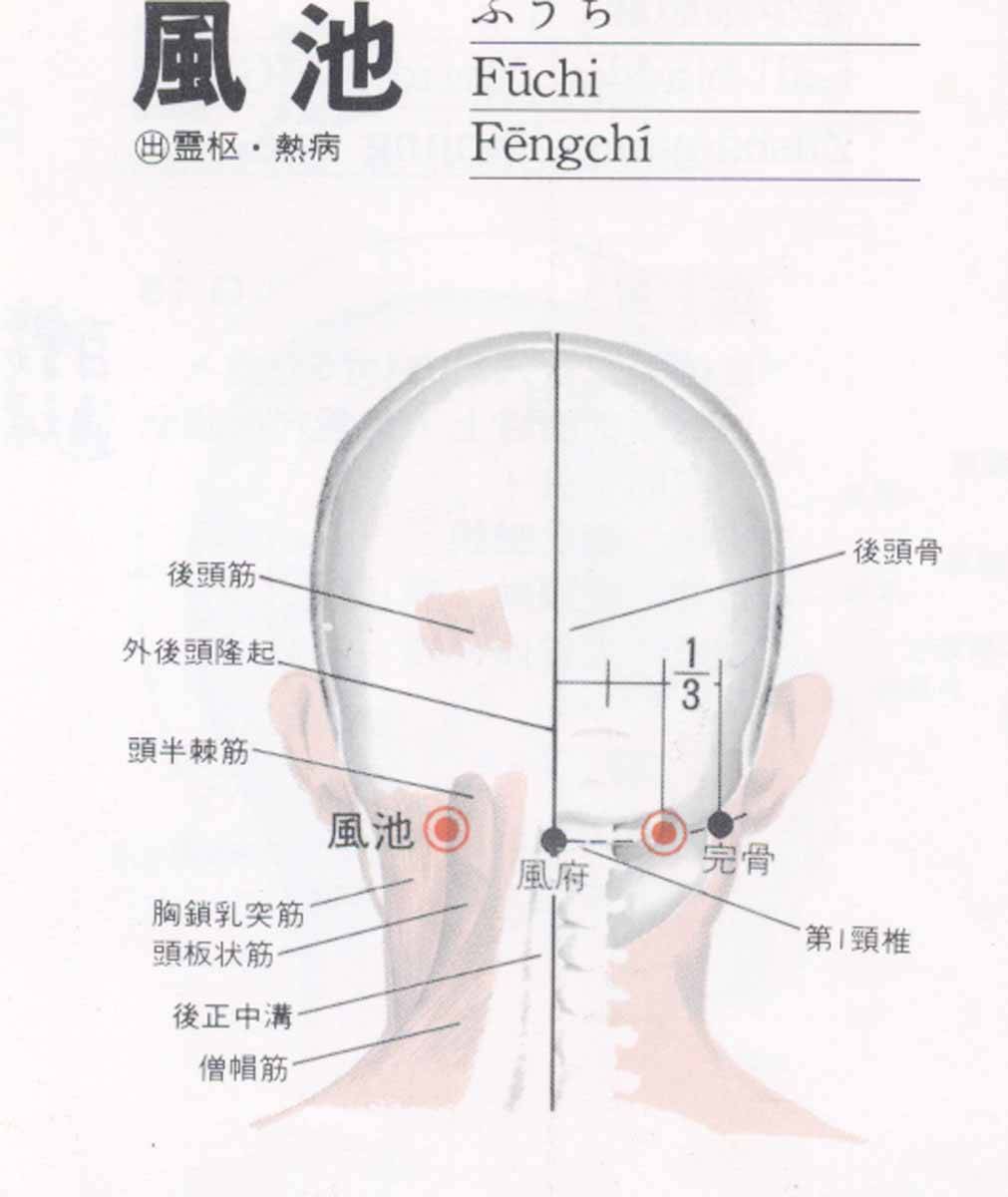 風池穴.jpg